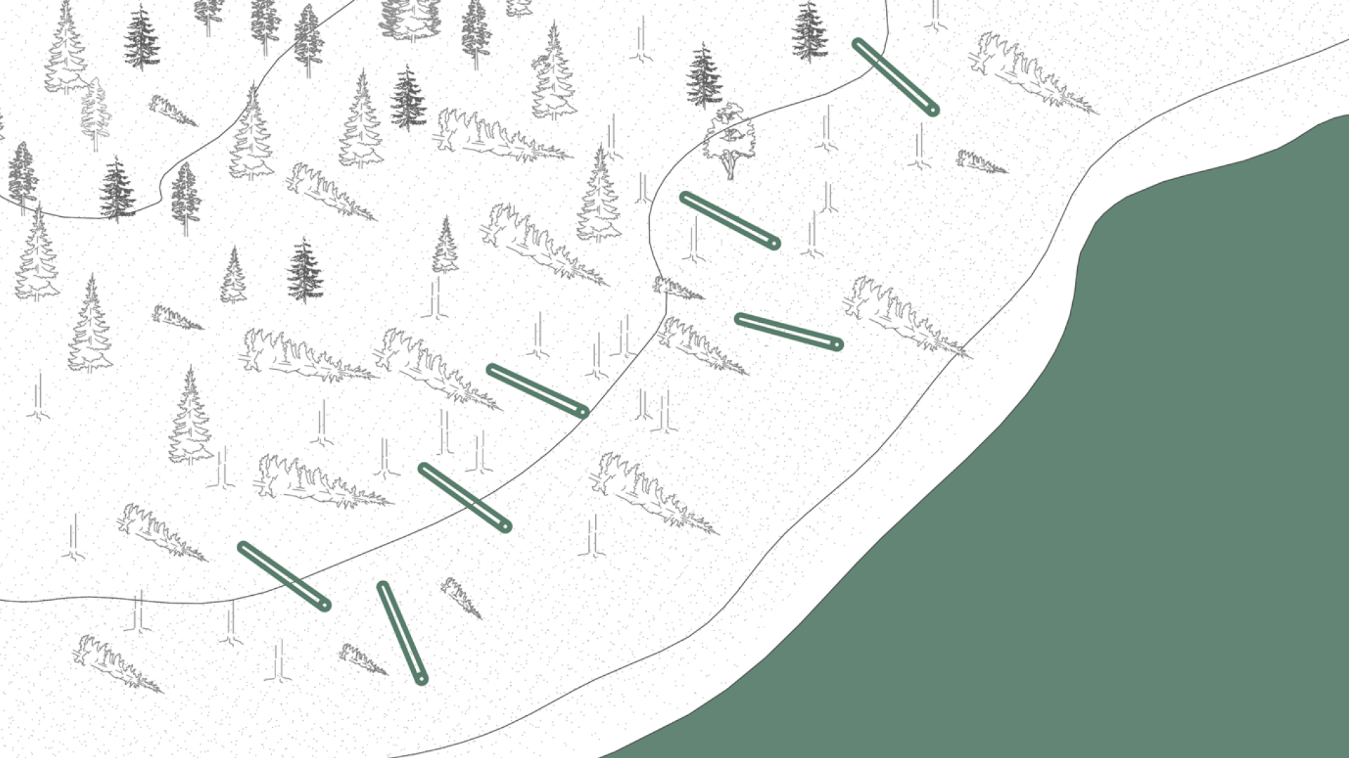 Analyse des Landschaftsraums am Oderteich